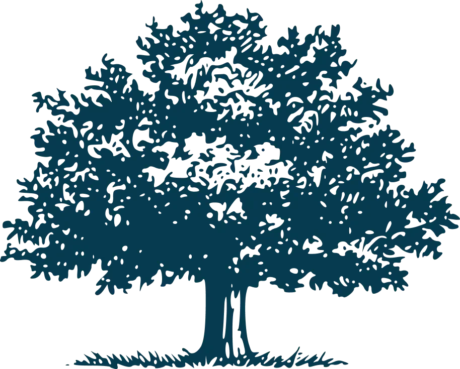 Illustration of a large, full tree with dense green foliage and a sturdy trunk, standing on a patch of grass.